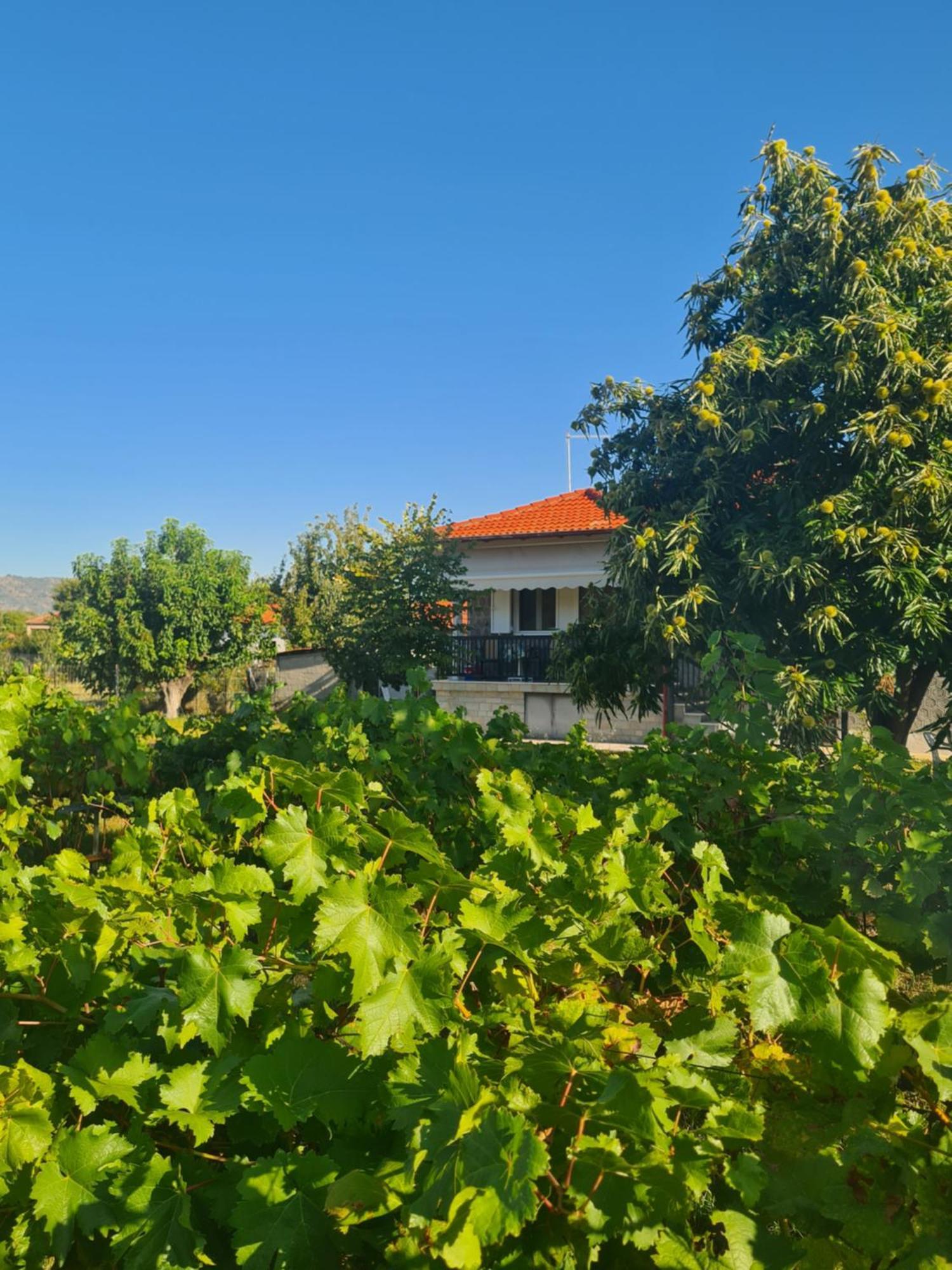 Villa Anna Mitropolis  Exterior photo